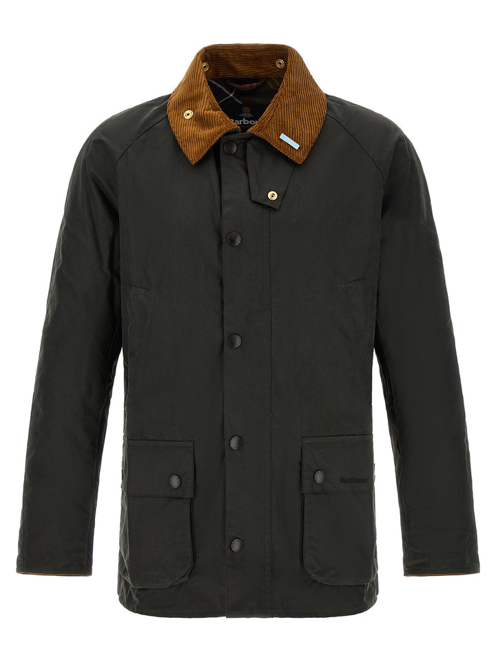 Barbour Icons Ashby Puffer Jackets - Verde | 31fe0fa69ec8bcc1eaf11f1ef640b711dd287fb3