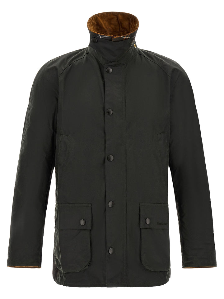 Barbour Icons Ashby Puffer Jackets - Verde | 3b3fc372e3e2a697d57c7c3a0ea0fb4734a65b35