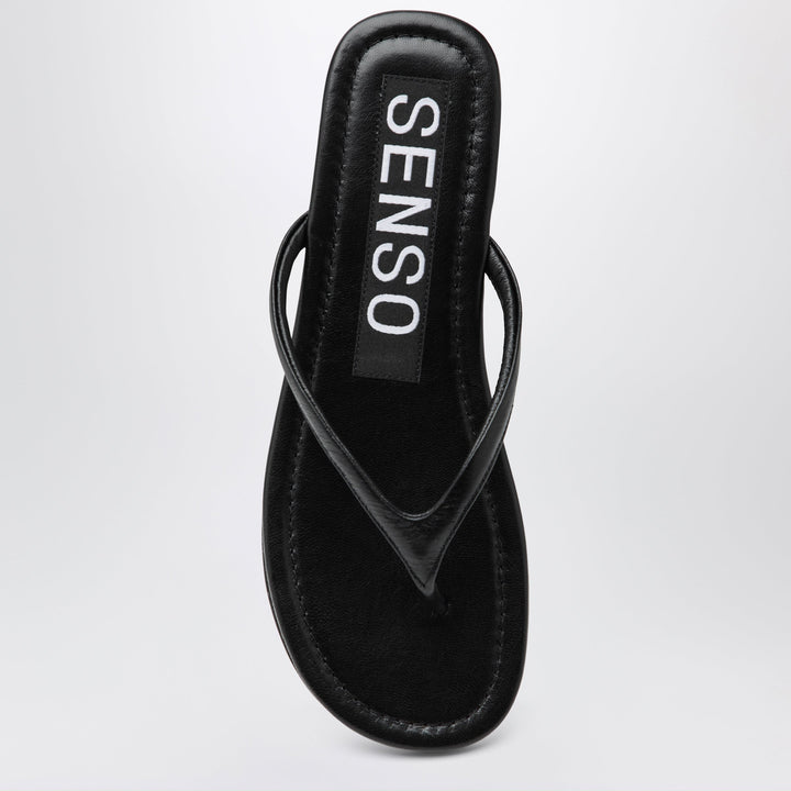Senso Scarpe - Marrone | b7a8b54ff5dc98c52156b8a7458e08f184a28027