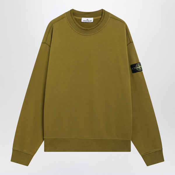 Oversize Crewneck Sweatshirt In Cactus Color