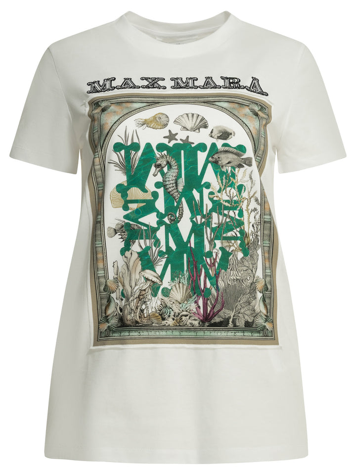Max Mara Crew-Neck T-Shirt With Logo T-shirts - Bianco | 7bcc87a505d472281d87e18219cd4234b398a703
