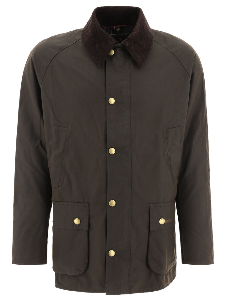 Barbour Ashby Jackets and Coats - Verde | c519715fc4862e7a35d968b96b5ac3f0c47756fd