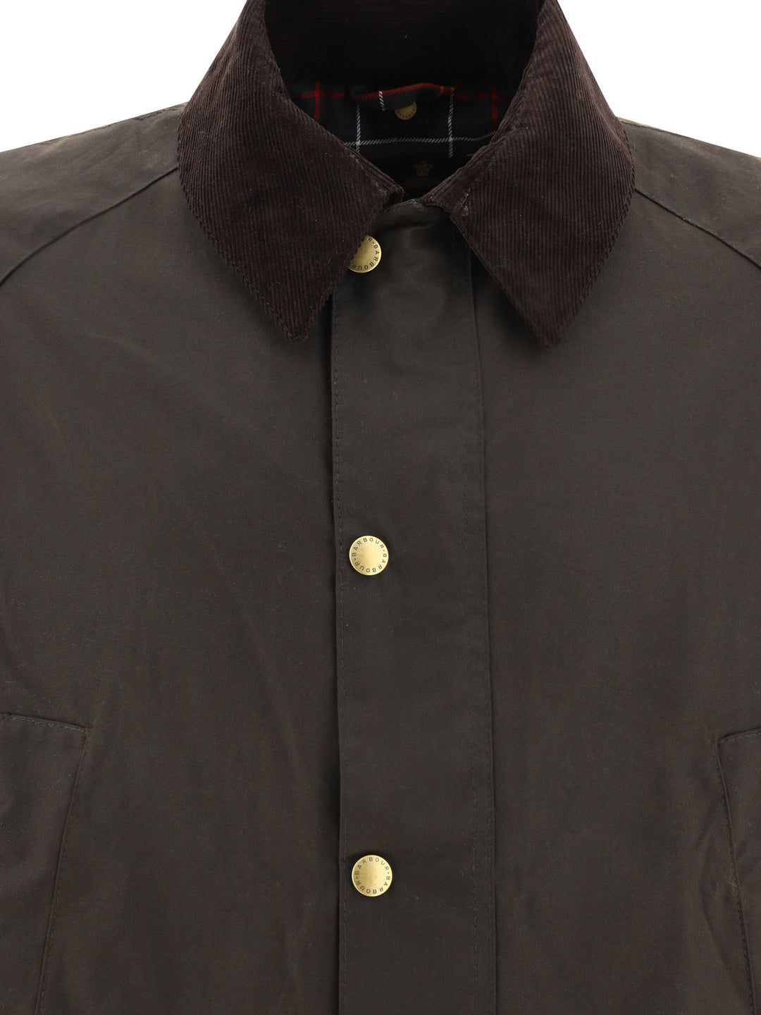 Barbour Ashby Jackets and Coats - Verde | cf052c7f21f2c1769035fccfbd75e6d6ffbdd6b7