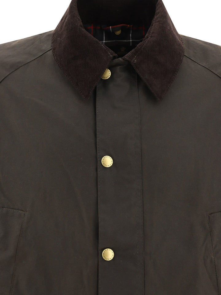 Barbour Ashby Jackets and Coats - Verde | cf052c7f21f2c1769035fccfbd75e6d6ffbdd6b7