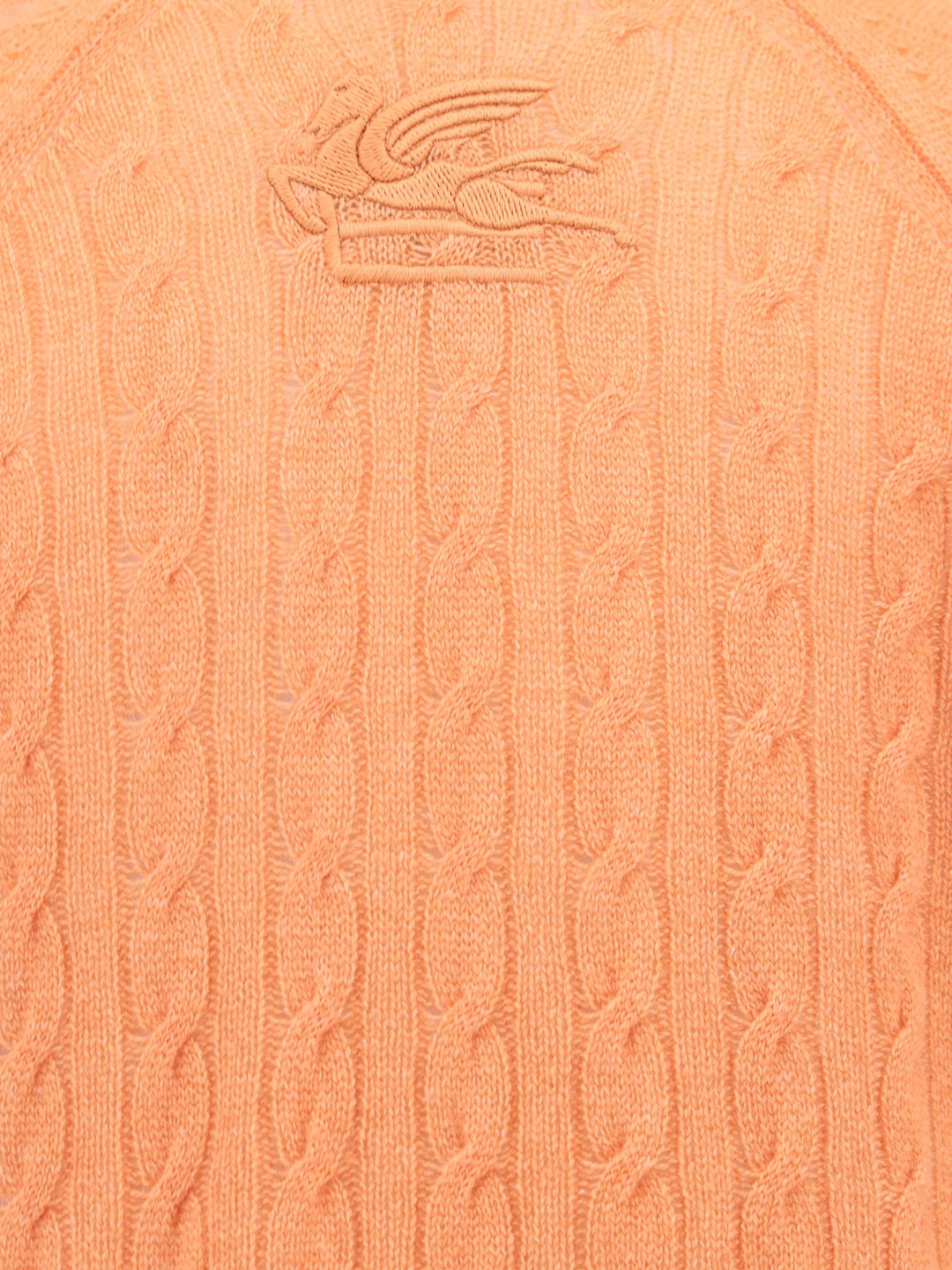 Maglia in cashmere con logo Etro Pegaso posteriore